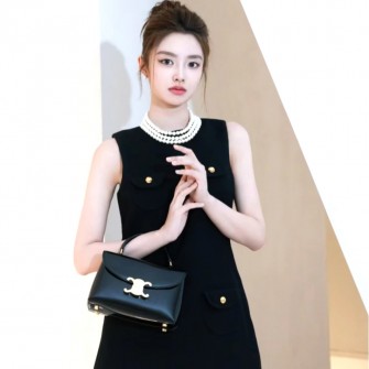 CELINE 셀린느 텐니노 Tenn NINO 핸드백 118113 스몰