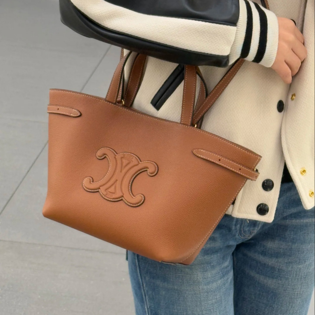 CELINE 셀린느 여성 카바스 이나이스백 ANAIS 118613 미듐